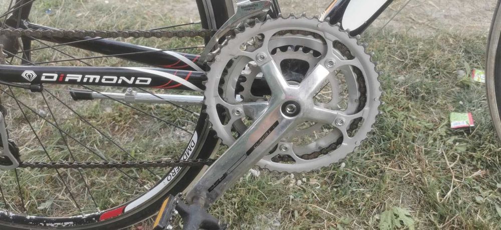 Cursiera Soria Diamond Ultra (S 50cm)