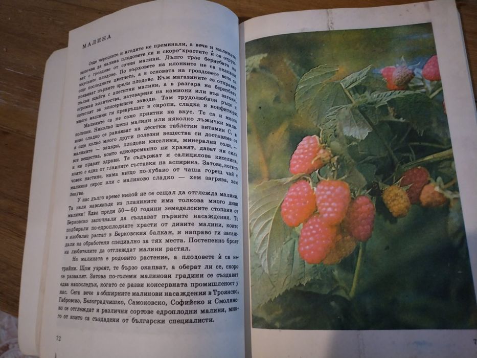 Енциклопедия за растения и животни