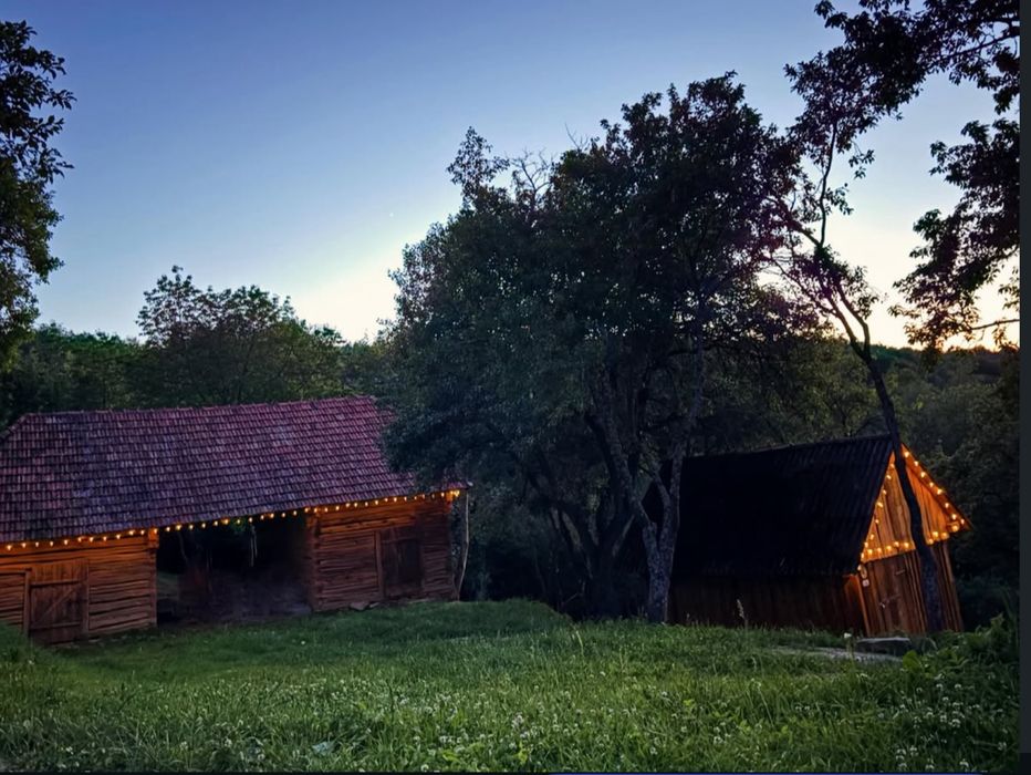 Proprietate deosebită în Munții Pădurea Craiului – Bulz | Izolat