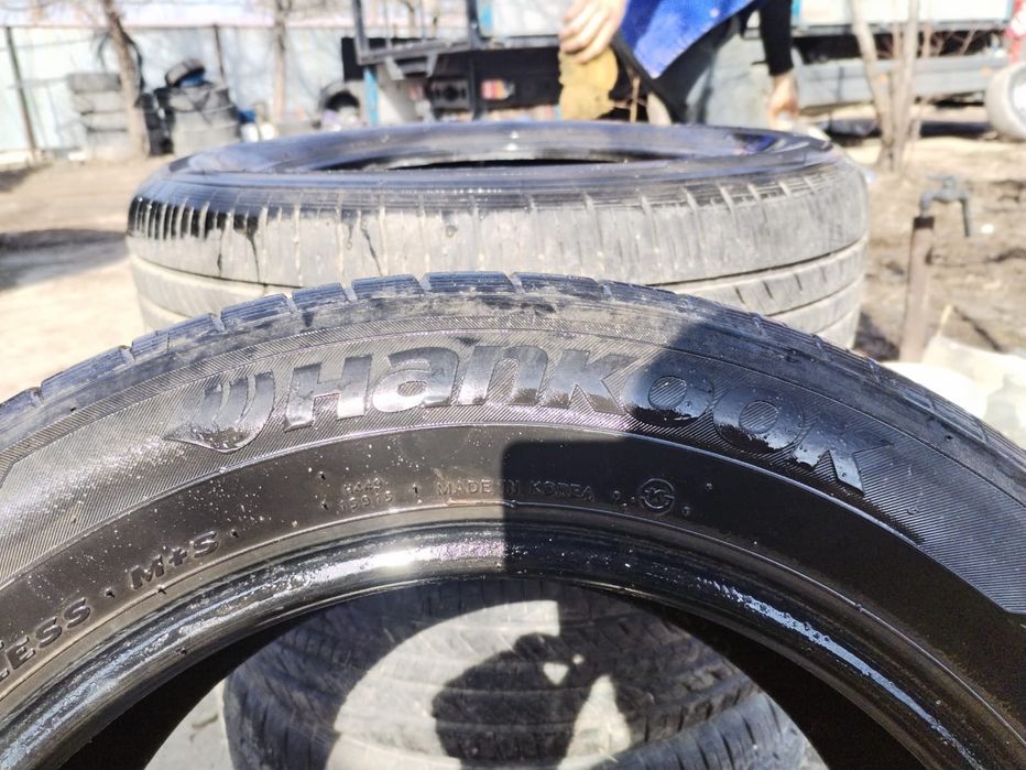 Ризина летный  хорошо состояние