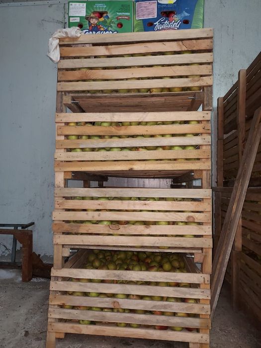 Продам ящики для хранения фруктов и овощей