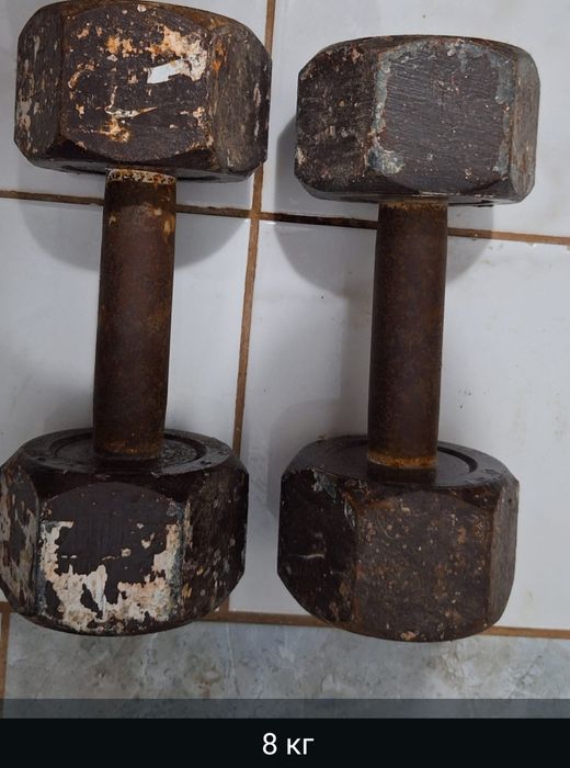 Гантели и турник