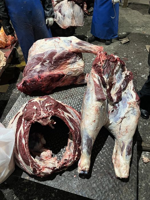 Продам говядина высшак с откорма молодняк