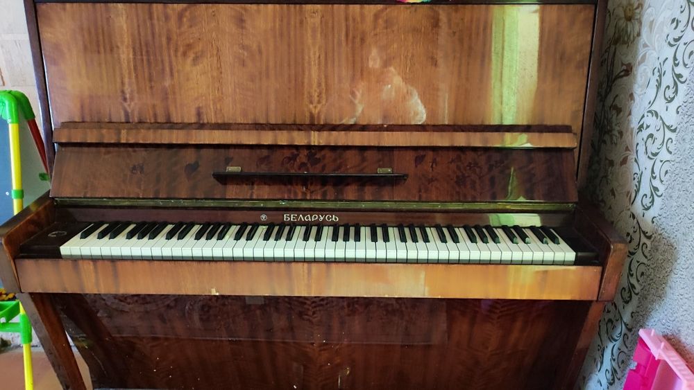 Отдам за шоколадку