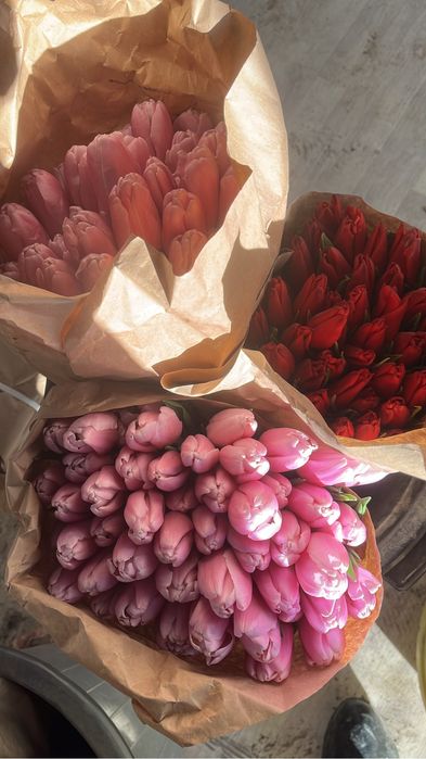 Тюльпаны в наличие и на заказ