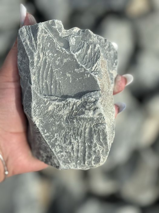 Piatra garduri/ piatra concasata/ piatra decorativa