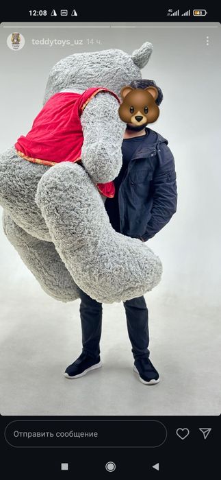 Оптим ТЕДДИ ™ тедди Teddy