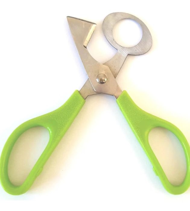 Oua Prepelita Pentru INCUBAT/CONSUM