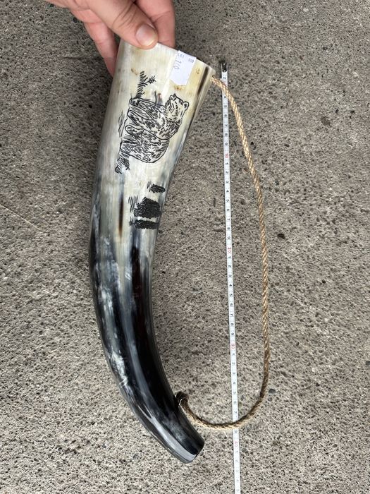 Coarne Lupta Viking , Coarne de baut , corn dr taur