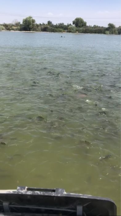 Продается рибыхоз готовый бизнес