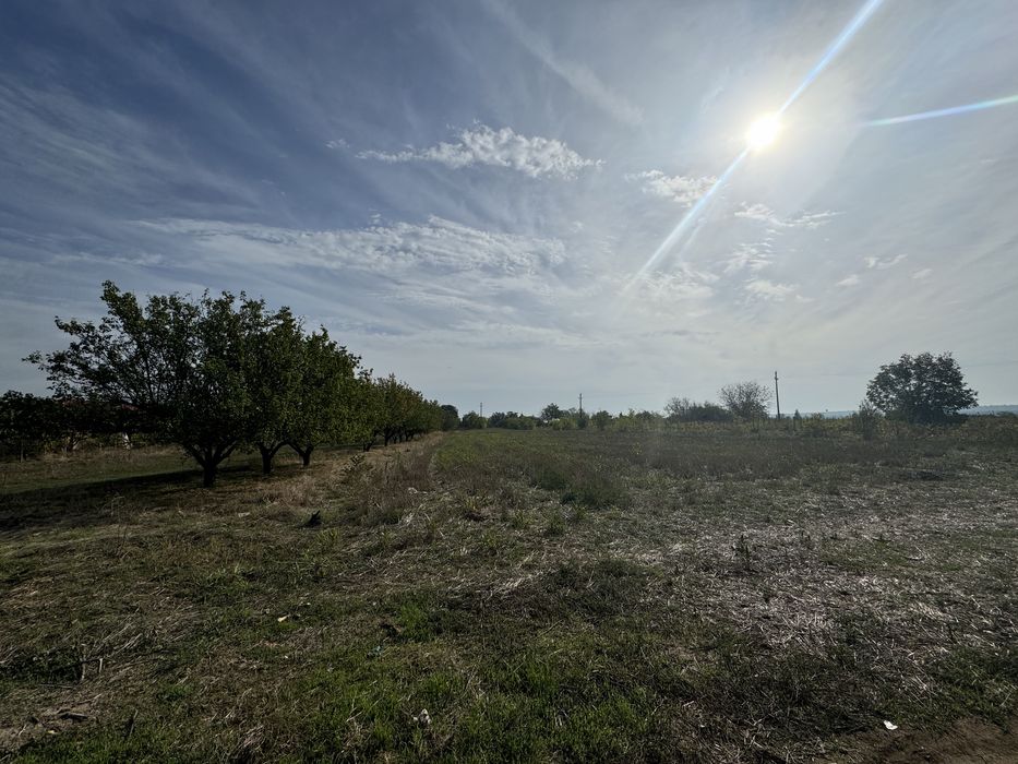 Vand teren intravilan 25 km de Buc/ Gruiu, Calarasi 2292 mp