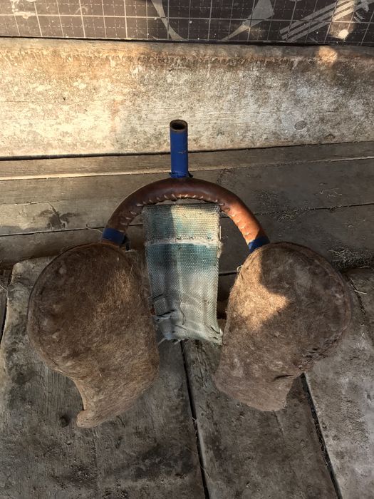 Қырғыз ертоқым