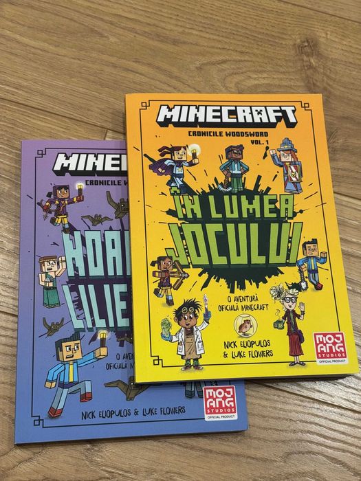 Set Minecraft - carti copii