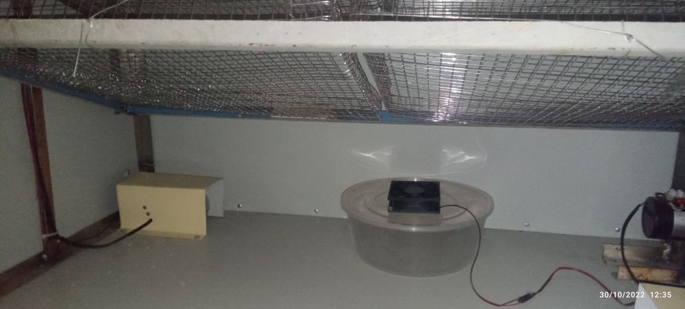 Inkubator 1000 talik