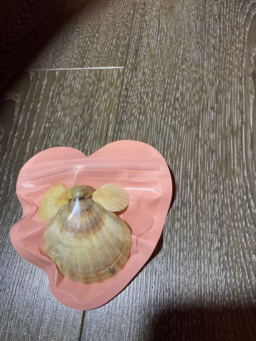 Scoica ingeras handmade