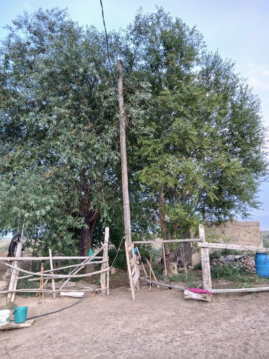 ФАЗЕНДА сатылады