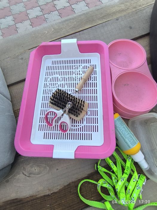 Животные , лоток ножницы