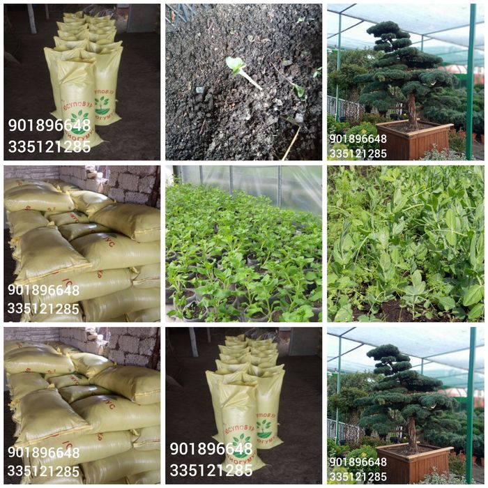 Биогумус сотилади