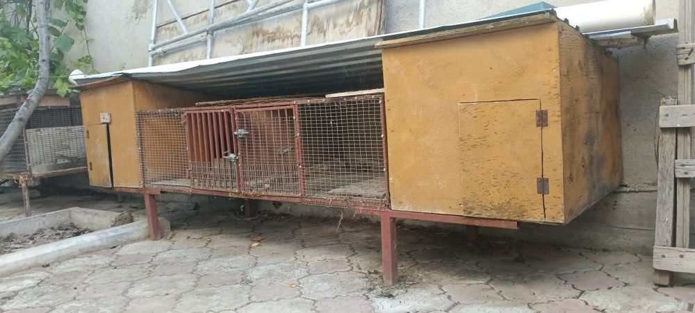 Клетки для кроликов
