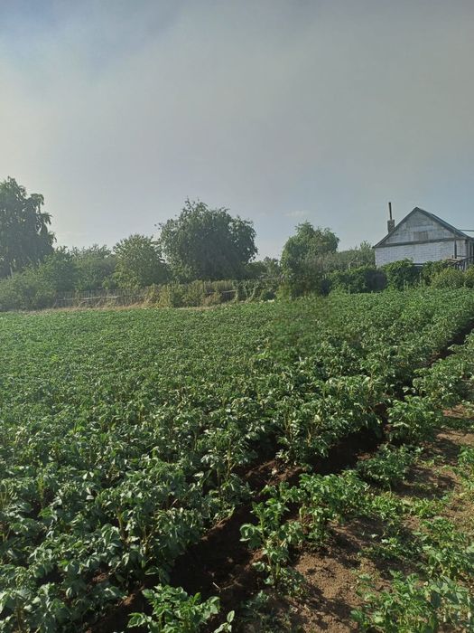 Дача ПК. Союз Первый Ряд у Канала