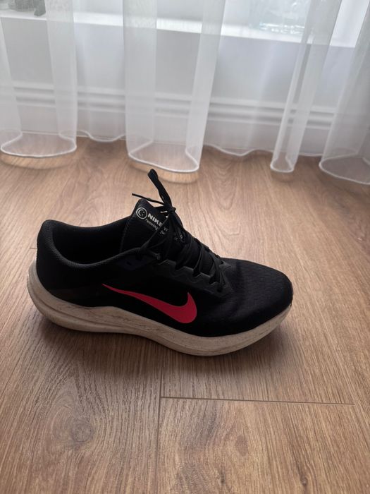 Adidasi Nike Winflo 10