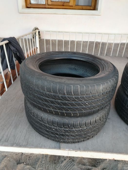 Balon   14 razmerda 2 ta.         15 razmerda     4 ta borr