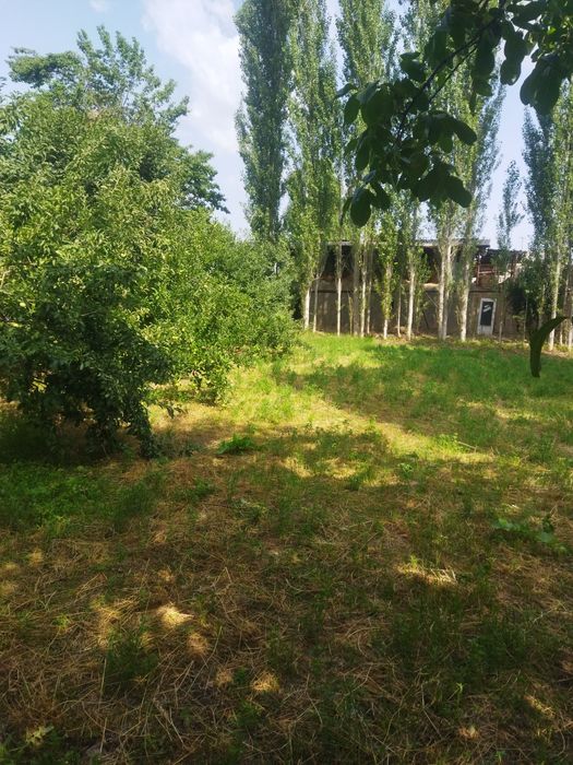 Er sotiladi 8 sot Boʻstonliq tumanida yangi oʻul mxalasida