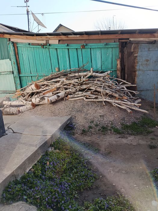 Дрова берёзовые бесплатно