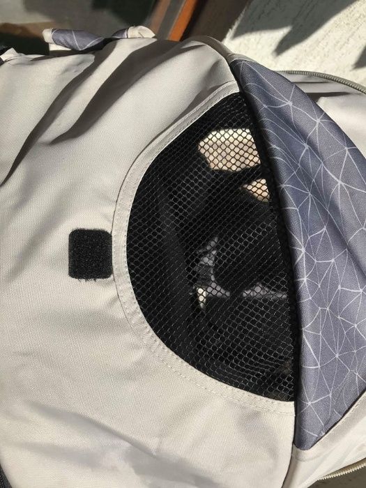 CHIPOLINO Детска количка-триколка с покривало  - като нова