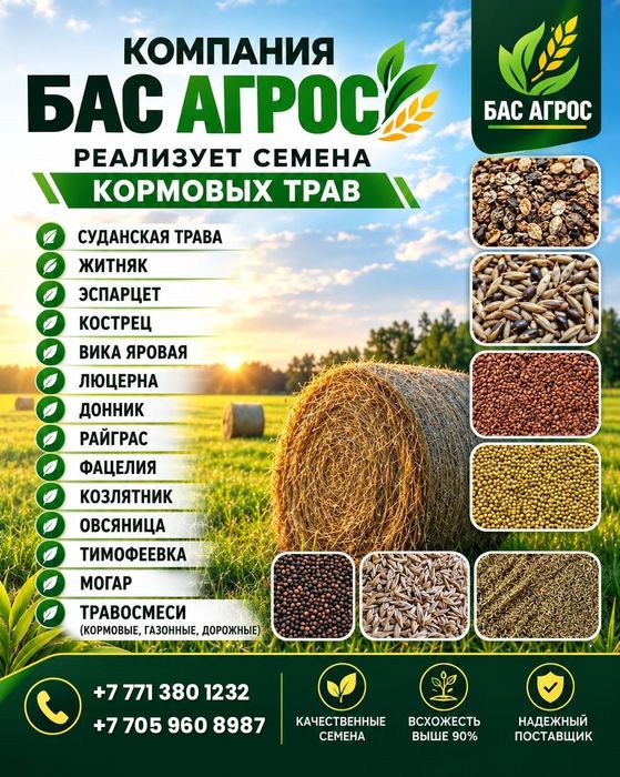 Семена кормовых трав