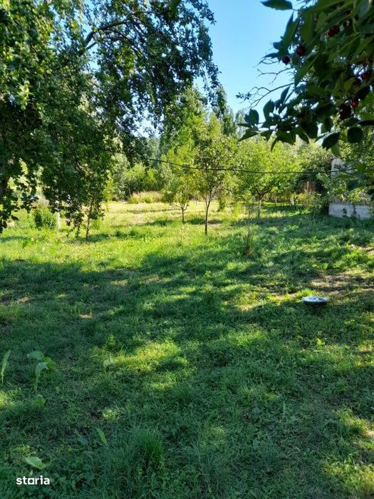 Casa renovata complet, 1800 mp teren, zona linistita in Cornita