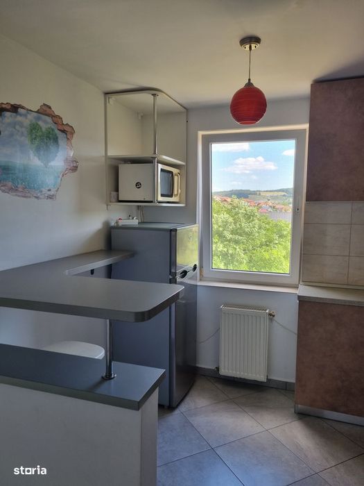 Apartament pet friendly  cu o camera si parcare