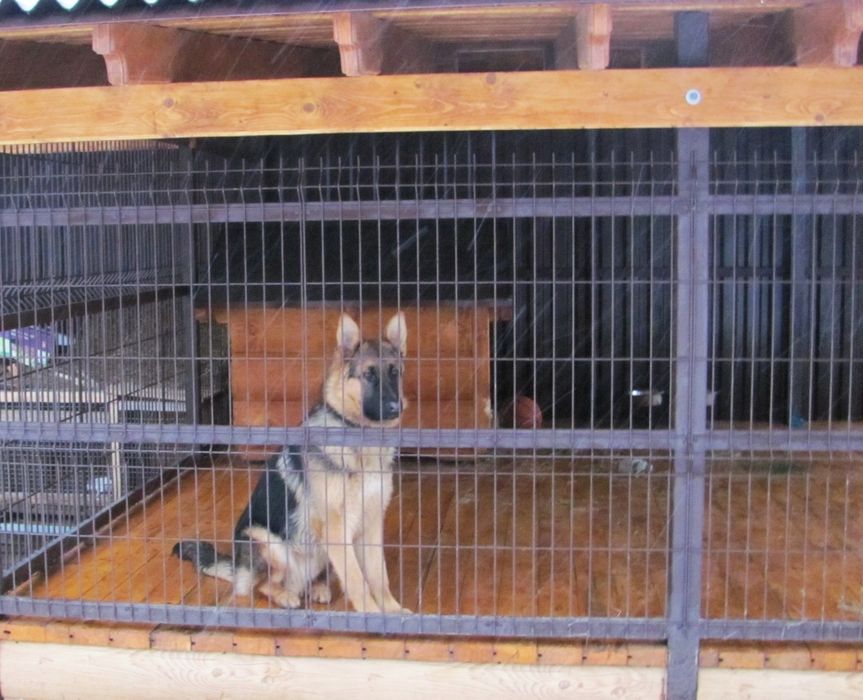 Изготовление Вальеров . Установка