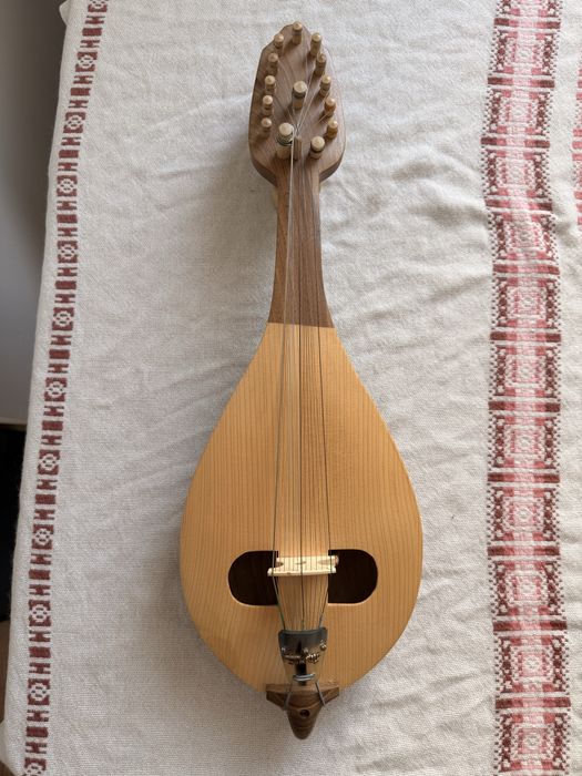 Гъдулка юношеска