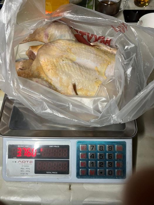 Курочки домашние