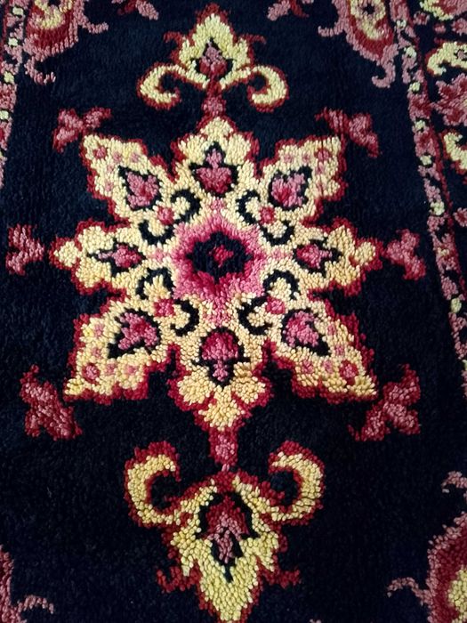 Два нови китеника