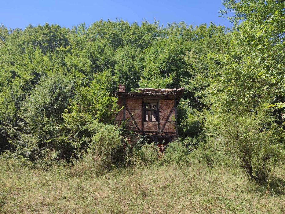 Продава се Парцел в с. Огоя, Област София-област - 1000 кв.м за 14 €/кв.м - Снимка #2