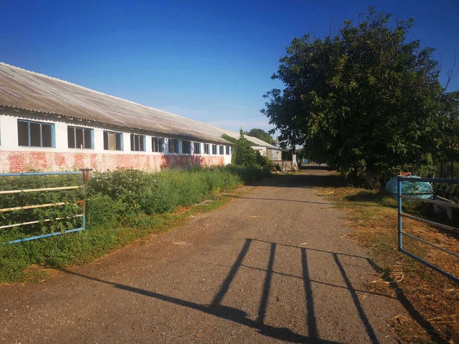 Продава се Промишлена сграда в Добрич, Дружба 3 - 1500 кв.м за 334 €/кв.м - Снимка #2