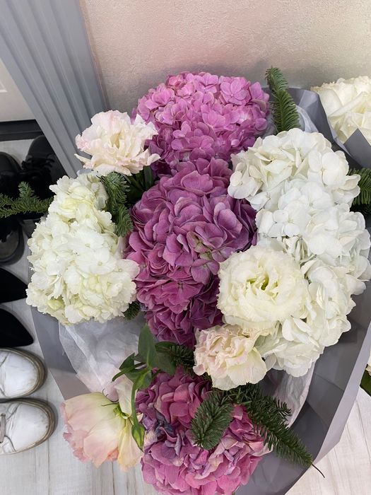 Цветы красивые свежые гортензий