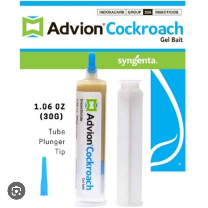 Tarakan dori (America) sotiladi Suvarak 2kunda yõqotadi