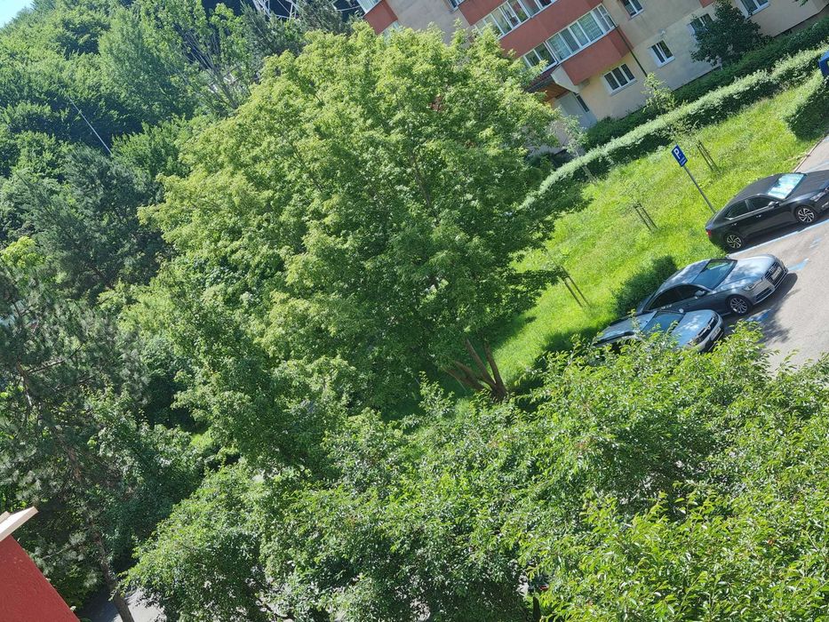 Apartament de vanzare, 3 camere, decomandat, Racadau - Parcul Ursu