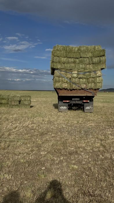 Проаю сено в тюках