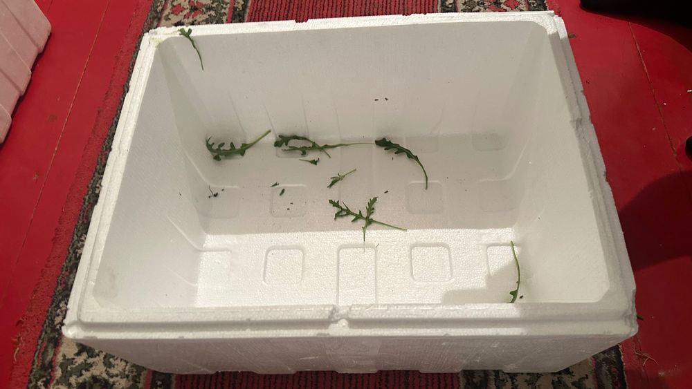 Сатылады Термо каропка