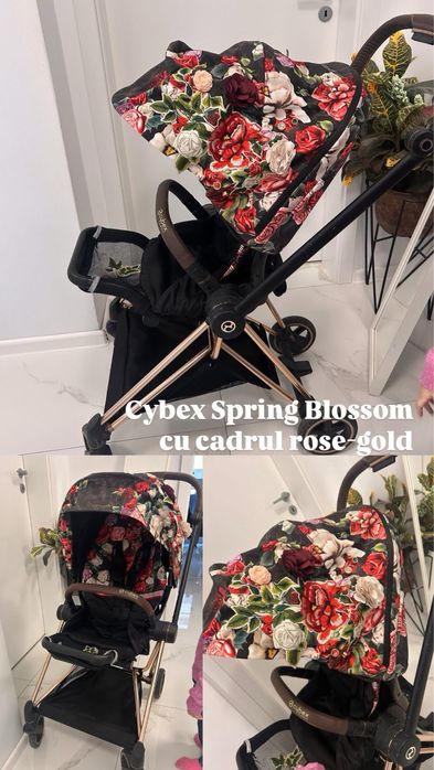 Carut sport Cybex Mios