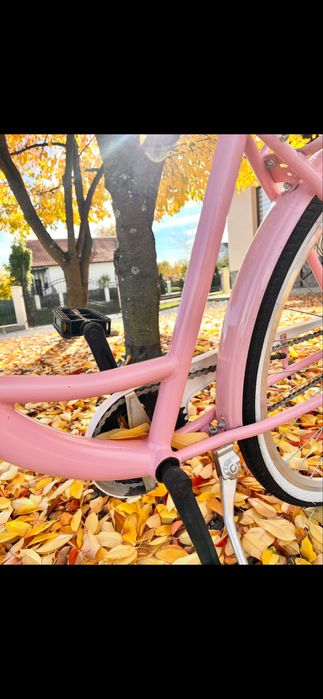 Bicicleta pegas dama