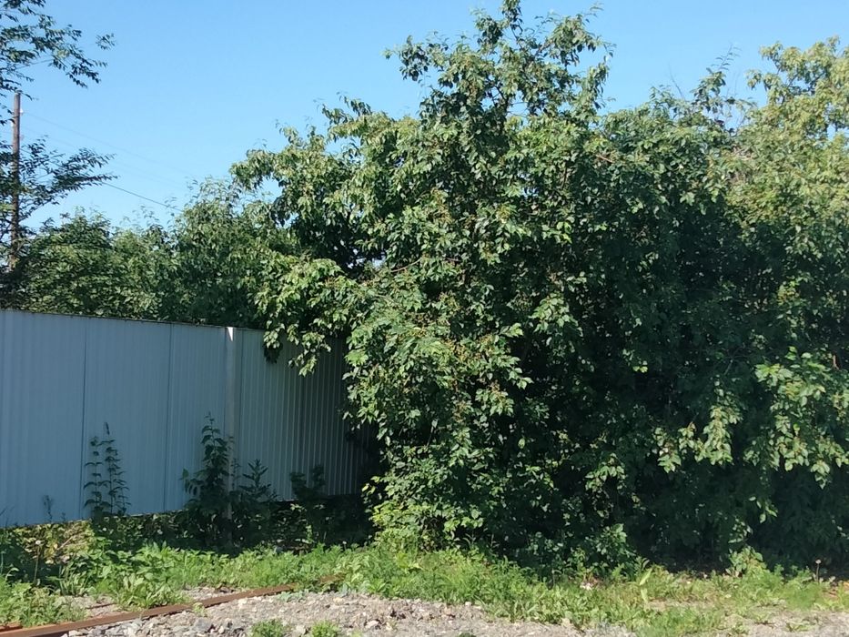 Продам участок по красной ярской трассе