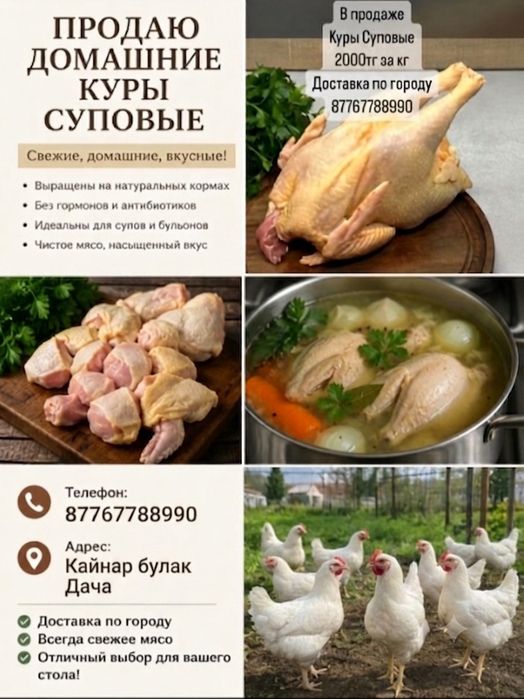 Бройлер тауыктары.
