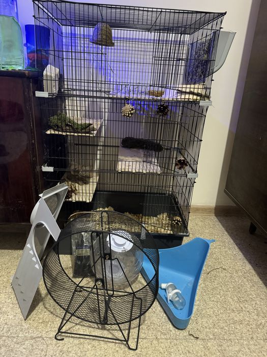 Клетка для шиншилл