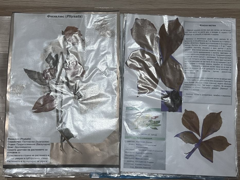 Хербарий 7 клас по Биология