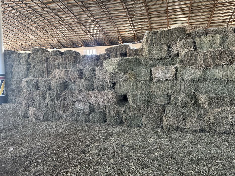 Beda pres sotiladi. Narxi 30 ming soʻm